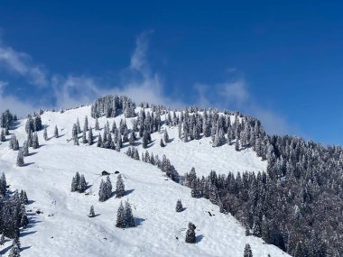 Obertoggenburg bölgesindeki Alpstein kalabalığının tepeleri ve dağlardan oluşan gerçekçi olmayan karlı kış manzaralı doğal bir peri masalı - Nesslau, İsviçre / Schweiz