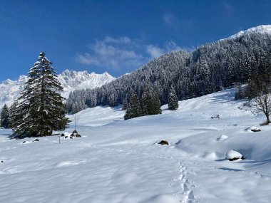 Obertoggenburg bölgesindeki Alpstein kalabalığının tepeleri ve dağlardan oluşan gerçekçi olmayan karlı kış manzaralı doğal bir peri masalı - Nesslau, İsviçre / Schweiz