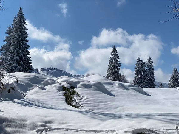 Una Favola Naturale Con Paesaggio Invernale Innevato Irrealisticamente Bello Colline — Foto Stock