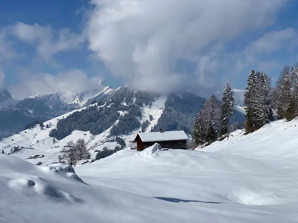 Naturalna Bajka Nierealistycznie Pięknym Śnieżnym Zimowym Krajobrazem Wzgórz Alpejskich Pastwisk — Zdjęcie stockowe