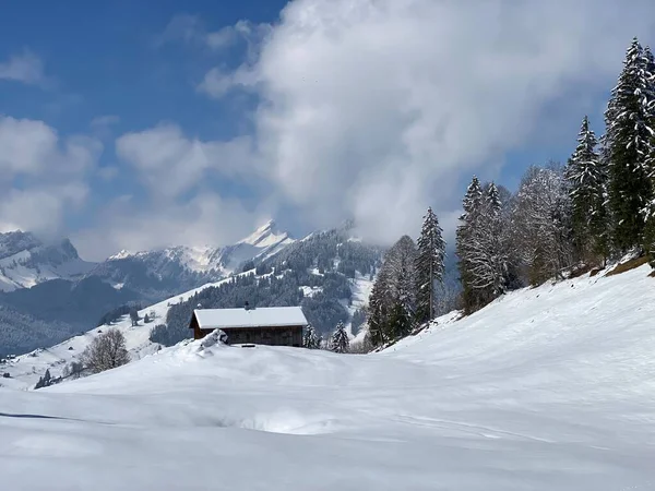 Cuento Hadas Natural Con Paisaje Invernal Poco Realista Colinas Pastos — Foto de Stock