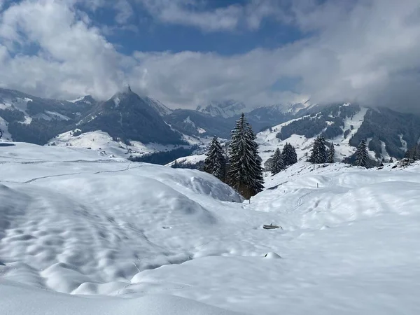 Conto Fadas Natural Com Uma Paisagem Inverno Nevada Irrealisticamente Bonita — Fotografia de Stock