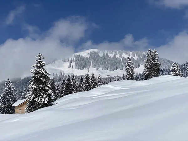 Natural Fairy Tale Unrealistically Beautiful Snowy Winter Landscape Hills Alpine — Stock Photo, Image