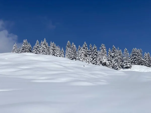 Obertoggenburg bölgesindeki Alpstein kalabalığının tepeleri ve dağlardan oluşan gerçekçi olmayan karlı kış manzaralı doğal bir peri masalı - Nesslau, İsviçre / Schweiz