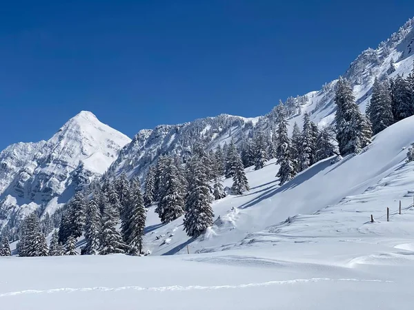 Een Natuurlijk Sprookje Met Een Onrealistisch Mooi Besneeuwd Winterlandschap Van — Stockfoto