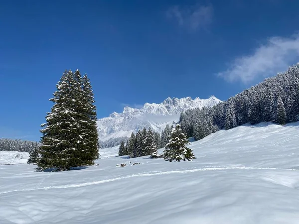 Obertoggenburg bölgesindeki Alpstein kalabalığının tepeleri ve dağlardan oluşan gerçekçi olmayan karlı kış manzaralı doğal bir peri masalı - Nesslau, İsviçre / Schweiz