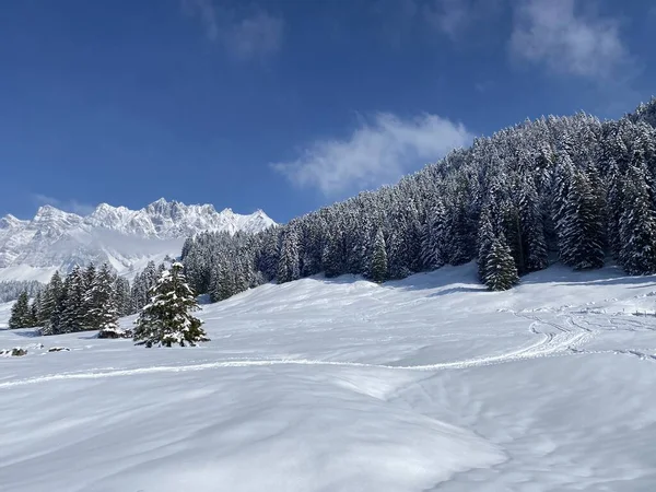 オベルトッゲンブルク地方のアルプシュタイン大聖堂の丘や高山の牧草地の非現実的に美しい雪の冬の風景と自然のおとぎ話 ネスラウ スイス スイス — ストック写真
