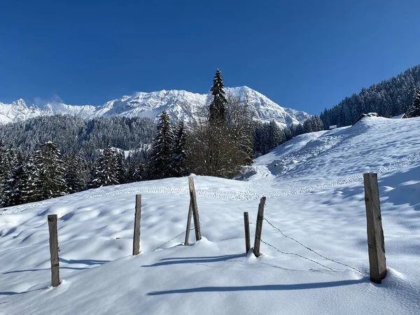 Een Natuurlijk Sprookje Met Een Onrealistisch Mooi Besneeuwd Winterlandschap Van — Stockfoto