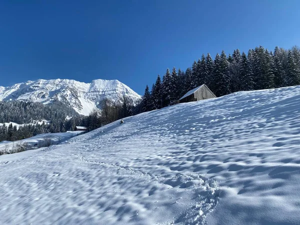 Obertoggenburg bölgesindeki Alpstein kalabalığının tepeleri ve dağlardan oluşan gerçekçi olmayan karlı kış manzaralı doğal bir peri masalı - Nesslau, İsviçre / Schweiz