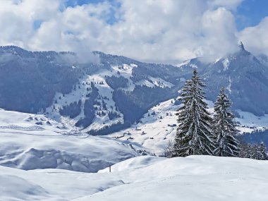 Luteren deresinin Alp Vadisi 'nde, Alpstein Dağları' nın eteklerinde ve Obertoggenburg Bölgesi 'nde - Nesslau, İsviçre (Schweiz)