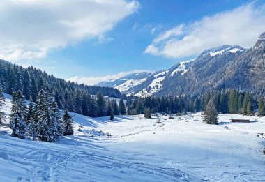 Luteren deresinin Alp Vadisi 'nde, Alpstein Dağları' nın eteklerinde ve Obertoggenburg Bölgesi 'nde - Nesslau, İsviçre (Schweiz)