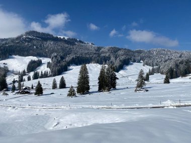 Luteren deresinin Alp Vadisi 'nde, Alpstein Dağları' nın eteklerinde ve Obertoggenburg Bölgesi 'nde - Nesslau, İsviçre (Schweiz)