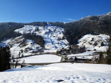Luteren deresinin Alp Vadisi 'nde, Alpstein Dağları' nın eteklerinde ve Obertoggenburg Bölgesi 'nde - Nesslau, İsviçre (Schweiz)