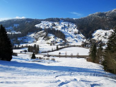 Luteren deresinin Alp Vadisi 'nde, Alpstein Dağları' nın eteklerinde ve Obertoggenburg Bölgesi 'nde - Nesslau, İsviçre (Schweiz)