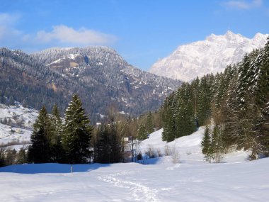 Luteren deresinin Alp Vadisi 'nde, Alpstein Dağları' nın eteklerinde ve Obertoggenburg Bölgesi 'nde - Nesslau, İsviçre (Schweiz)