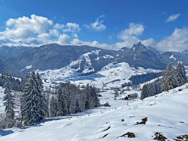 Piękna Zimowa Atmosfera Alpejskiej Dolinie Strumienia Lutheren Podnóża Pasma Górskiego — Zdjęcie stockowe