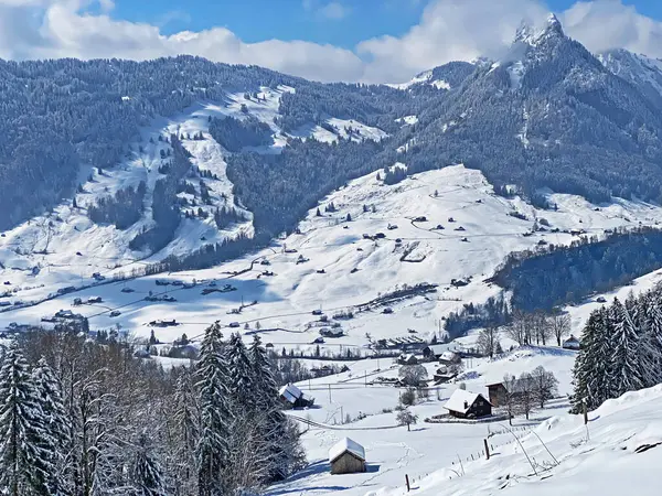 Luteren deresinin Alp Vadisi 'nde, Alpstein Dağları' nın eteklerinde ve Obertoggenburg Bölgesi 'nde - Nesslau, İsviçre (Schweiz)