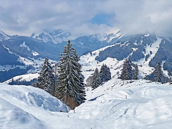 Luteren deresinin Alp Vadisi 'nde, Alpstein Dağları' nın eteklerinde ve Obertoggenburg Bölgesi 'nde - Nesslau, İsviçre (Schweiz)