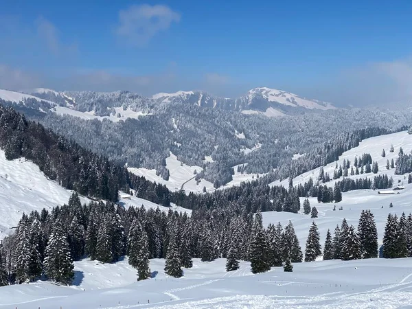ルーテル川の高山渓谷 アルプシュタイン山脈の麓 オベルトッゲンブルク地方の美しい冬の雰囲気 スイス ネスラウ スイス — ストック写真