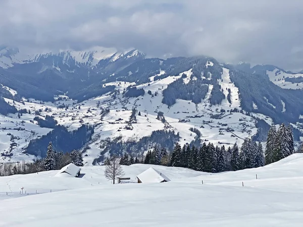 Luteren deresinin Alp Vadisi 'nde, Alpstein Dağları' nın eteklerinde ve Obertoggenburg Bölgesi 'nde - Nesslau, İsviçre (Schweiz)