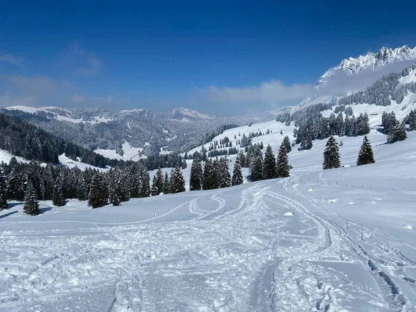 Beautiful Winter Ambience Alpine Valley Lutheren Stream Foot Alpstein Mountain — 스톡 사진