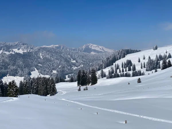 Luteren deresinin Alp Vadisi 'nde, Alpstein Dağları' nın eteklerinde ve Obertoggenburg Bölgesi 'nde - Nesslau, İsviçre (Schweiz)
