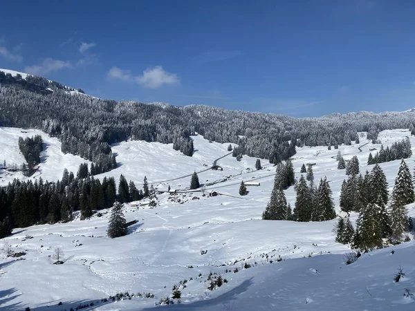 Luteren deresinin Alp Vadisi 'nde, Alpstein Dağları' nın eteklerinde ve Obertoggenburg Bölgesi 'nde - Nesslau, İsviçre (Schweiz)