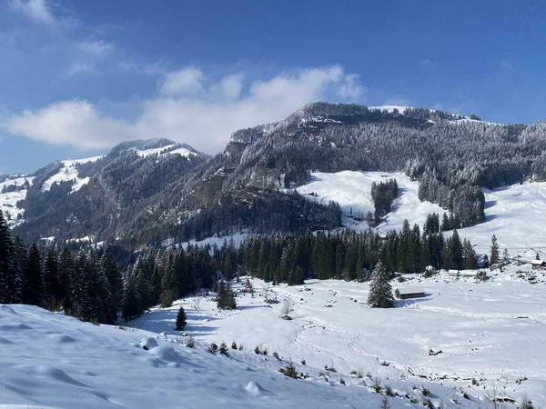 Luteren deresinin Alp Vadisi 'nde, Alpstein Dağları' nın eteklerinde ve Obertoggenburg Bölgesi 'nde - Nesslau, İsviçre (Schweiz)