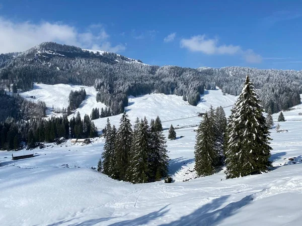 Luteren deresinin Alp Vadisi 'nde, Alpstein Dağları' nın eteklerinde ve Obertoggenburg Bölgesi 'nde - Nesslau, İsviçre (Schweiz)