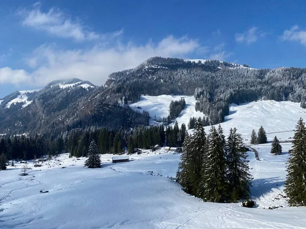 Luteren deresinin Alp Vadisi 'nde, Alpstein Dağları' nın eteklerinde ve Obertoggenburg Bölgesi 'nde - Nesslau, İsviçre (Schweiz)