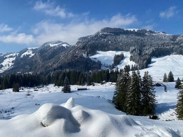 Luteren deresinin Alp Vadisi 'nde, Alpstein Dağları' nın eteklerinde ve Obertoggenburg Bölgesi 'nde - Nesslau, İsviçre (Schweiz)