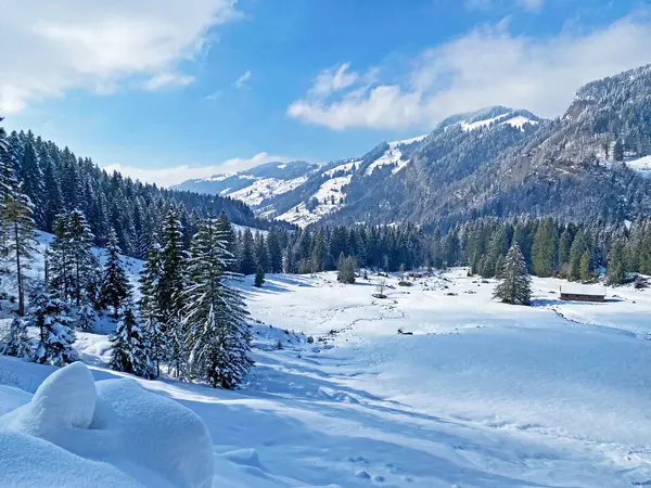 卢塞恩河高山谷 阿尔普斯坦山脉山脚下和瑞士内斯劳奥伯托根堡地区 施韦兹 美丽的冬季气候 — 图库照片