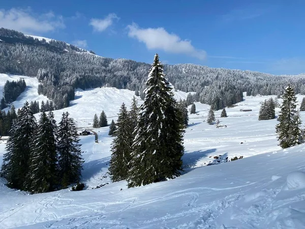 Beautiful Winter Ambience Alpine Valley Lutheren Stream Foot Alpstein Mountain — стоковое фото