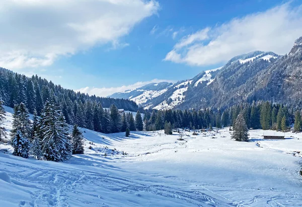 Luteren deresinin Alp Vadisi 'nde, Alpstein Dağları' nın eteklerinde ve Obertoggenburg Bölgesi 'nde - Nesslau, İsviçre (Schweiz)