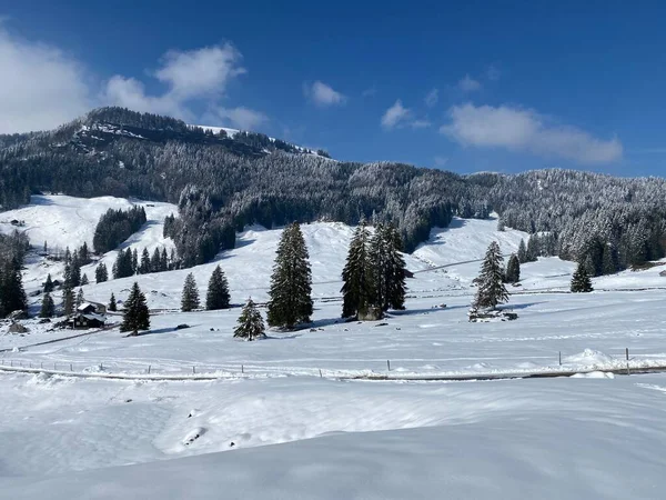 Luteren deresinin Alp Vadisi 'nde, Alpstein Dağları' nın eteklerinde ve Obertoggenburg Bölgesi 'nde - Nesslau, İsviçre (Schweiz)