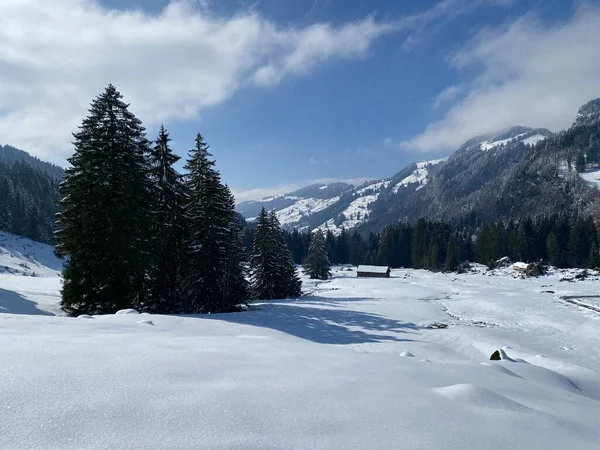 Прекрасне Зимове Середовище Альпійській Долині Річки Лютерен Біля Підніжжя Гірського — стокове фото