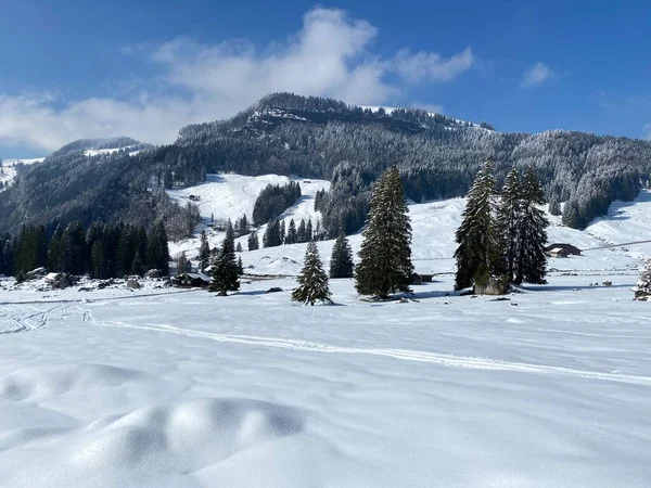 Vacker Vintermiljö Den Alpina Dalen Vid Floden Lutheren Vid Foten — Stockfoto