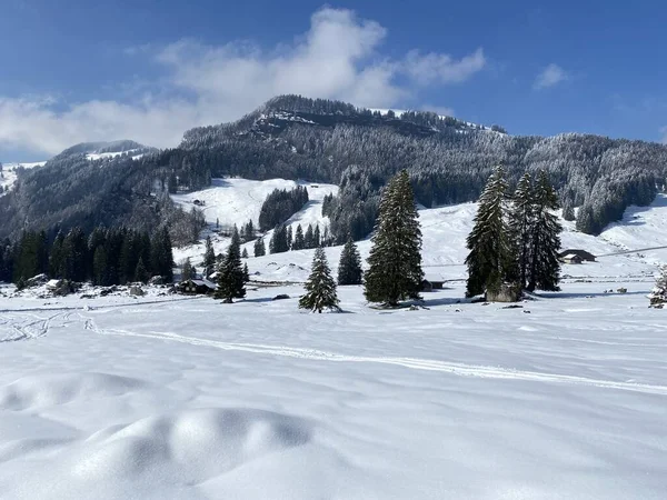 Luteren deresinin Alp Vadisi 'nde, Alpstein Dağları' nın eteklerinde ve Obertoggenburg Bölgesi 'nde - Nesslau, İsviçre (Schweiz)