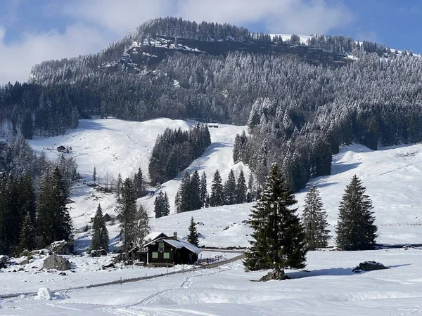 Gyönyörű Téli Környezet Lutheren Patak Alpesi Völgyében Alpok Hegység Lábánál — Stock Fotó