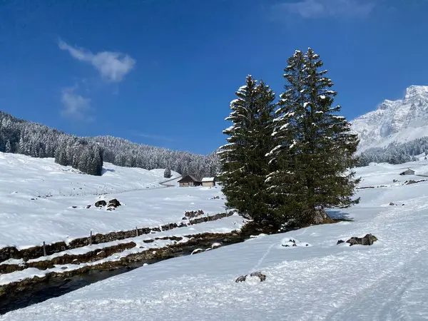 Beautiful Winter Ambience Alpine Valley Lutheren Stream Foot Alpstein Mountain — стоковое фото