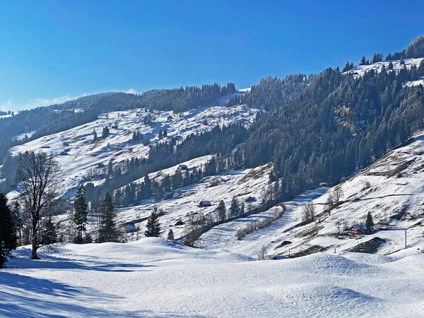 Beautiful Winter Ambience Alpine Valley Lutheren Stream Foot Alpstein Mountain — 스톡 사진