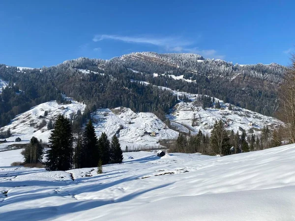 Belle Ambiance Hivernale Dans Vallée Alpine Ruisseau Lutheren Pied Chaîne — Photo
