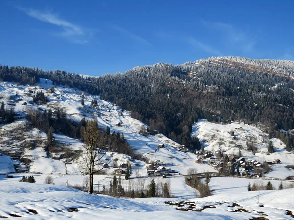 Vacker Vintermiljö Den Alpina Dalen Vid Floden Lutheren Vid Foten — Stockfoto