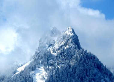 Peri masalı alp mevsimi atmosferi ve dağ zirvesindeki karla kaplı kozalaklı ağaçlar Vorder Goggeien (1630 m), Nesslau - Obertoggenburg Vadisi, İsviçre (Schweiz)