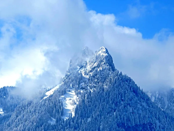 Ambiente Invernal Alpino Cuento Hadas Árboles Coníferas Cubiertos Nieve Pico —  Fotos de Stock
