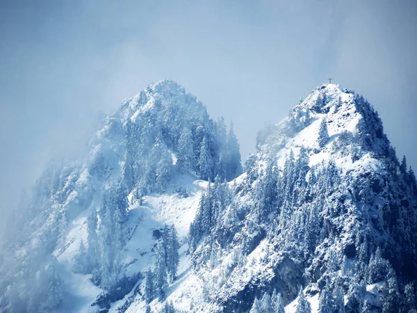 Peri Masalı Alp Mevsimi Atmosferi Dağ Zirvesindeki Karla Kaplı Kozalaklı — Stok fotoğraf