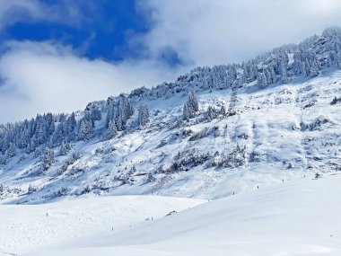 Peri masalı gibi soğuk kış atmosferi ve Schindlenberg Dağı 'ndaki karla kaplı kozalaklı ağaçlar Alpstein' in büyük kitlesi, Nesslau - Obertoggenburg bölgesi, İsviçre / Schweiz
