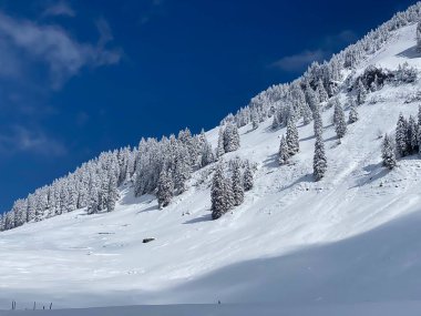Peri masalı gibi soğuk kış atmosferi ve Schindlenberg Dağı 'ndaki karla kaplı kozalaklı ağaçlar Alpstein' in büyük kitlesi, Nesslau - Obertoggenburg bölgesi, İsviçre / Schweiz