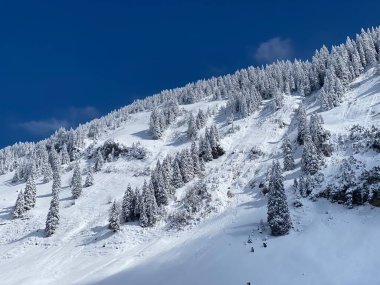 Peri masalı gibi soğuk kış atmosferi ve Schindlenberg Dağı 'ndaki karla kaplı kozalaklı ağaçlar Alpstein' in büyük kitlesi, Nesslau - Obertoggenburg bölgesi, İsviçre / Schweiz