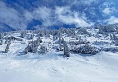 Peri masalı gibi soğuk kış atmosferi ve Schindlenberg Dağı 'ndaki karla kaplı kozalaklı ağaçlar Alpstein' in büyük kitlesi, Nesslau - Obertoggenburg bölgesi, İsviçre / Schweiz